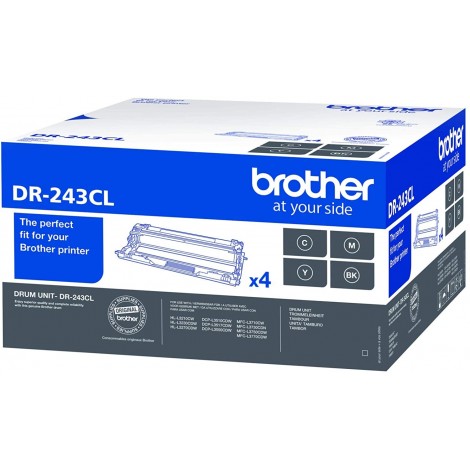 Tamburo Brother DR-243CL originale